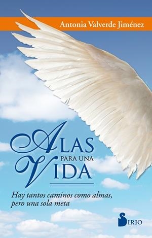 ALAS PARA UNA VIDA | 9788416579761 | VALVERDE JIMENEZ, ANTONIA | Librería Castillón - Comprar libros online Aragón, Barbastro