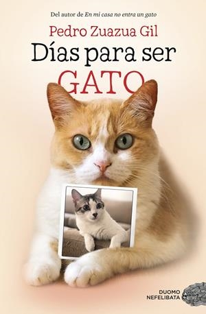 Días para ser gato | 9788417128524 | Zuazua Gil, Pedro | Librería Castillón - Comprar libros online Aragón, Barbastro