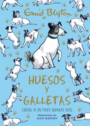 Enid Blyton. Huesos y galletas. Cartas de un perro llamado Bobs | 9788469664582 | Blyton, Enid | Librería Castillón - Comprar libros online Aragón, Barbastro