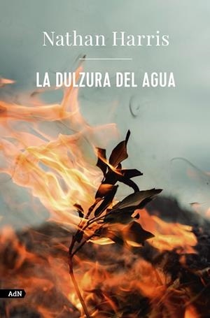 La dulzura del agua (AdN) | 9788413626963 | Harris, Nathan | Librería Castillón - Comprar libros online Aragón, Barbastro