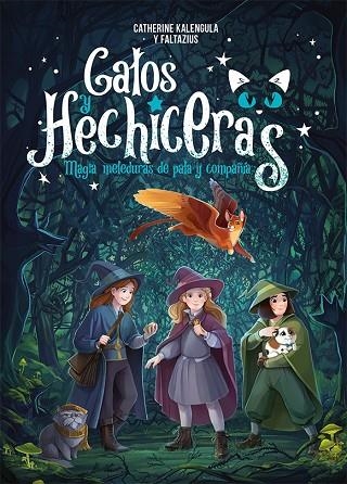 Gatos y hechiceras | 9788491455769 | Kalengula, Catherine | Librería Castillón - Comprar libros online Aragón, Barbastro