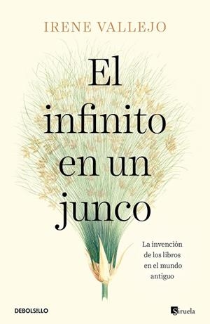 El infinito en un junco | 9788466358293 | Irene Vallejo | Librería Castillón - Comprar libros online Aragón, Barbastro