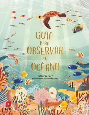 Guía para observar el océano | 9788413923642 | Barr, Catherine | Librería Castillón - Comprar libros online Aragón, Barbastro