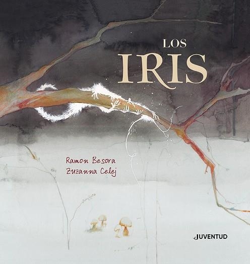 Los iris | 9788426147813 | Besora Oliva, Ramon | Librería Castillón - Comprar libros online Aragón, Barbastro