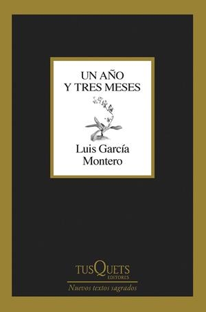 Un año y tres meses | 9788411071475 | García Montero, Luis | Librería Castillón - Comprar libros online Aragón, Barbastro