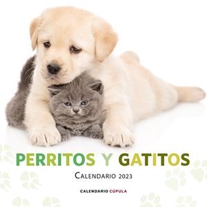 Calendario pared Perritos y Gatitos 2023 | 9788448029807 | VV.AA. | Librería Castillón - Comprar libros online Aragón, Barbastro