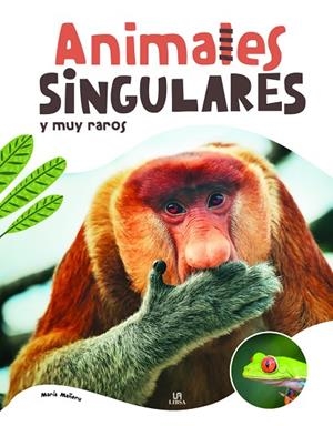 Animales Singulares y muy Raros | 9788466240628 | Equipo Editorial | Librería Castillón - Comprar libros online Aragón, Barbastro