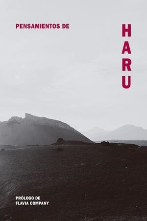 Pensamientos de Haru | 9788418223495 | Company, Flavia | Librería Castillón - Comprar libros online Aragón, Barbastro