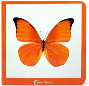 NARANJA | 9788412534443 | NOWORDBOOKS | Librería Castillón - Comprar libros online Aragón, Barbastro