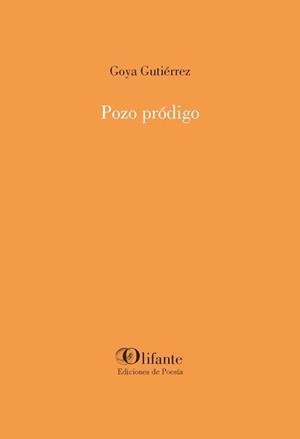 Pozo pródigo | 9788412556636 | Gutiérrez, Goya | Librería Castillón - Comprar libros online Aragón, Barbastro
