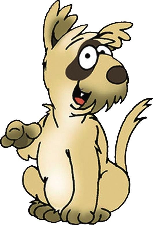 Colega mascota | 9788490819562 | VV.AA | Librería Castillón - Comprar libros online Aragón, Barbastro