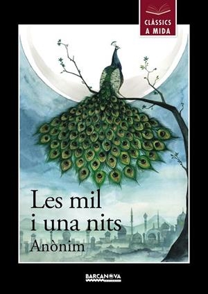 Les mil i una nits | 9788448942687 | Anònim | Librería Castillón - Comprar libros online Aragón, Barbastro