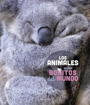 Los animales más bonitos del mundo | 9788419436177 | Ledu, Stéphanie | Librería Castillón - Comprar libros online Aragón, Barbastro
