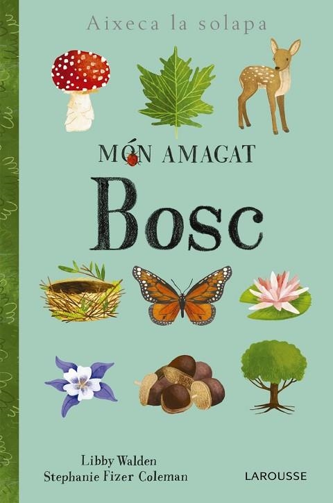 Món amagat. Bosc | 9788416984886 | Larousse Editorial | Librería Castillón - Comprar libros online Aragón, Barbastro