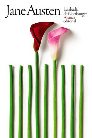La abadía de Northanger | 9788491816102 | Austen, Jane | Librería Castillón - Comprar libros online Aragón, Barbastro