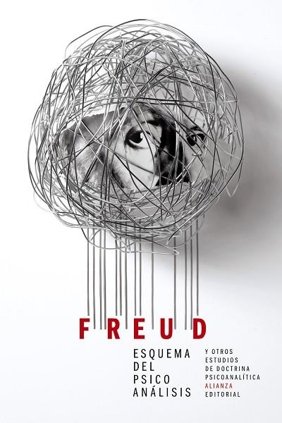 Esquema del psicoanálisis y otros escritos de doctrina psicoanalítica | 9788491045366 | Freud, Sigmund | Librería Castillón - Comprar libros online Aragón, Barbastro