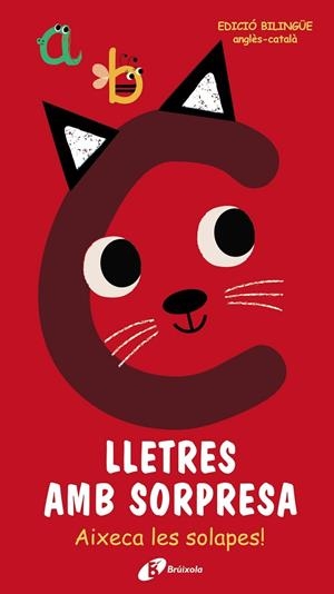 Lletres amb sorpresa | 9788499063683 | Librería Castillón - Comprar libros online Aragón, Barbastro