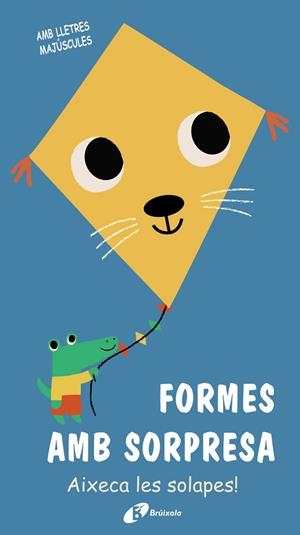 Formes amb sorpresa | 9788499063690 | Librería Castillón - Comprar libros online Aragón, Barbastro