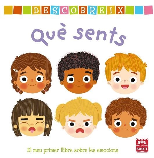 Descobreix què sents | 9788499063003 | AA.VV | Librería Castillón - Comprar libros online Aragón, Barbastro