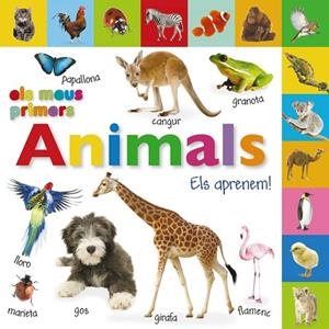 Els meus primers animals. Els aprenem! | 9788499064697 | VV. AA. | Librería Castillón - Comprar libros online Aragón, Barbastro