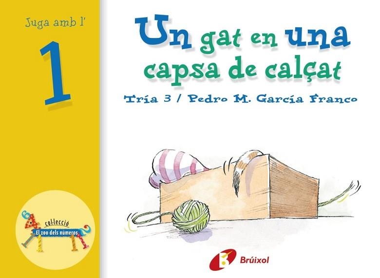 Un gat en una capsa de calçat | 9788483041529 | García Franco, Pedro María | Librería Castillón - Comprar libros online Aragón, Barbastro