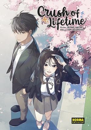 CRUSH OF LIFETIME 01 | 9788467958164 | HALIM,JEONG-YEONWOO,KIM | Librería Castillón - Comprar libros online Aragón, Barbastro