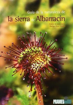GUIA DE LA NATURALEZA DE LA SIERRA DE ALBARRACIN | 9788483212042 | LORE, CHABIER DE JAIME; PEREZ GRIJALBO, RODRIGO | Librería Castillón - Comprar libros online Aragón, Barbastro