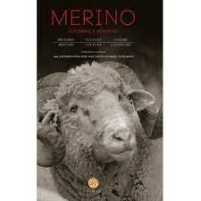 MERINO | 9788483215579 | Librería Castillón - Comprar libros online Aragón, Barbastro