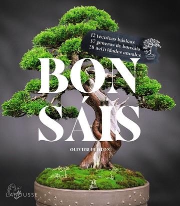 Bonsáis | 9788419436610 | Samson, Rémy ; Samson, Isabelle | Librería Castillón - Comprar libros online Aragón, Barbastro
