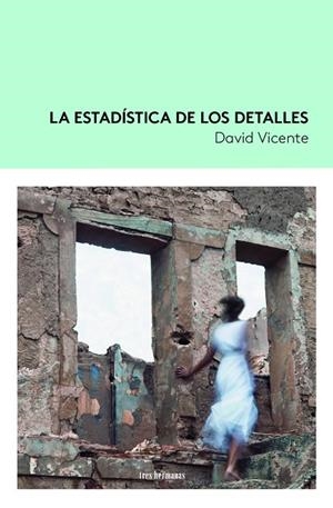 La estadística de los detalles | 9788419243140 | Vicente, David | Librería Castillón - Comprar libros online Aragón, Barbastro