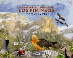 Cuaderno de montaña de las maravillas naturales de los Pirineos | 9788491586036 | Viñuales Cobos, Eduardo | Librería Castillón - Comprar libros online Aragón, Barbastro