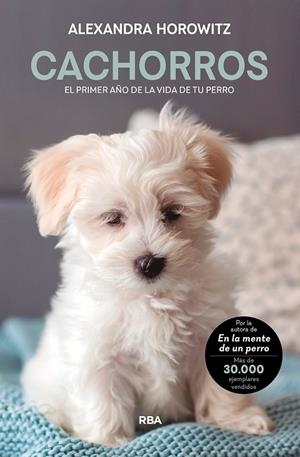 Cachorros. El primer año de la vida de tu perro | 9788411321099 | Horowitz, Alexandra | Librería Castillón - Comprar libros online Aragón, Barbastro