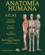 Anatomía Humana. Atlas 2.ª ed. | 9788419156464 | Anastasi, Giuseppe / Tacchetti, Carlo / Rodríguez Baeza, Alfonso | Librería Castillón - Comprar libros online Aragón, Barbastro