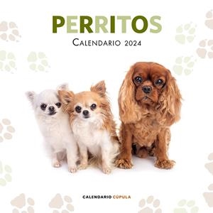 Calendario Perritos 2024 | 9788448038069 | VV.AA. | Librería Castillón - Comprar libros online Aragón, Barbastro
