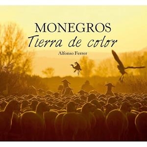 MONEGROS : TIERRA DE COLOR | 9788412010473 | FERRER YUS, ALFONSO | Librería Castillón - Comprar libros online Aragón, Barbastro