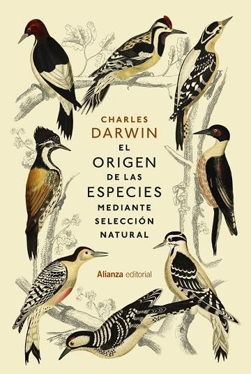 El origen de las especies | 9788411484565 | Darwin, Charles | Librería Castillón - Comprar libros online Aragón, Barbastro