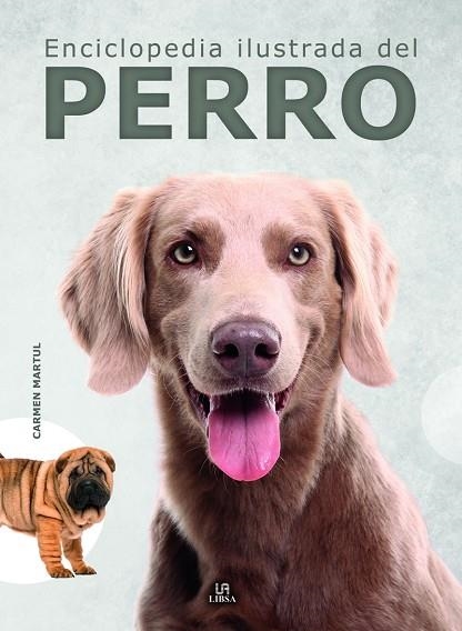 Enciclopedia Ilustrada del Perro | 9788466242455 | Martul Hernández, Carmen | Librería Castillón - Comprar libros online Aragón, Barbastro