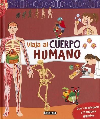Cuerpo humano | 9788467799866 | Ediciones, Susaeta | Librería Castillón - Comprar libros online Aragón, Barbastro