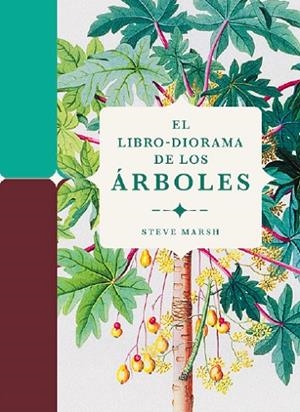 El libro-diorama de los árboles | 9788412386196 | Marsh, Steve | Librería Castillón - Comprar libros online Aragón, Barbastro