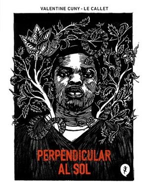 Perpendicular al sol | 9788419409140 | Valentine CunyLe Callet | Librería Castillón - Comprar libros online Aragón, Barbastro