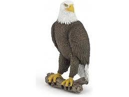 FIGURA PAPO AGUILA CALVA | 3465000501815 | Librería Castillón - Comprar libros online Aragón, Barbastro