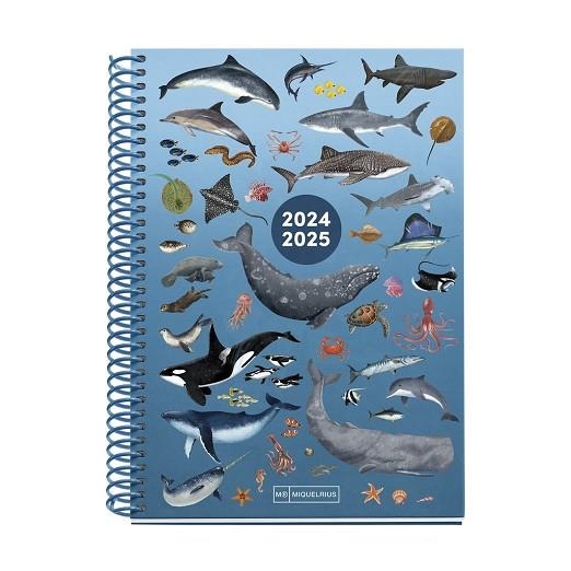 AGENDA ESCOLAR 2024/25 MIQUELRIUS 155x213 SEMANA VISTA PLUS JUNIOR OCEAN MR26691 | 8422593266915 | Librería Castillón - Comprar libros online Aragón, Barbastro