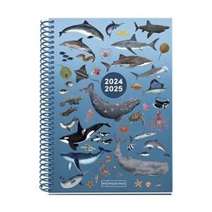 AGENDA ESCOLAR 2024/25 MIQUELRIUS 155x213 SEMANA VISTA PLUS JUNIOR OCEAN MR26691 | 8422593266915 | Librería Castillón - Comprar libros online Aragón, Barbastro