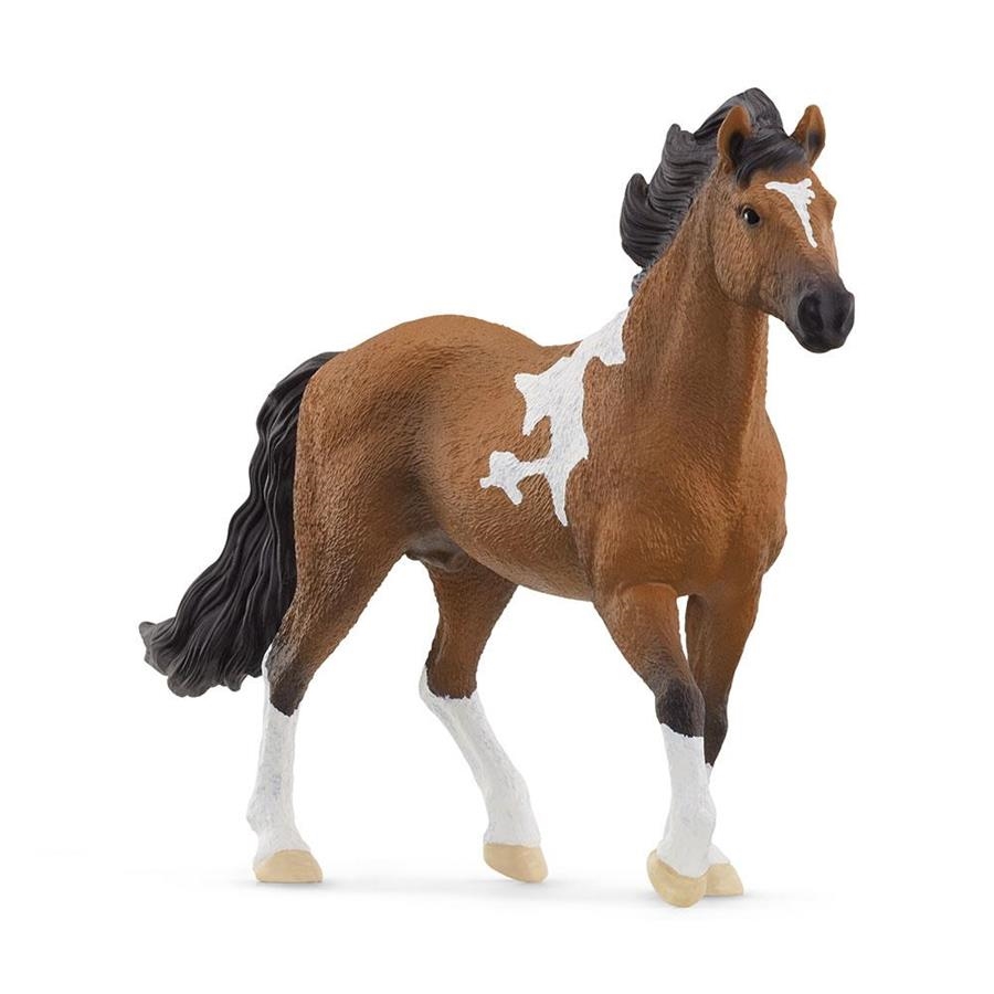 FIGURA CABALLO SEMENTAL MANGALARGA  SCHLEICH | 4059433753645 | Librería Castillón - Comprar libros online Aragón, Barbastro