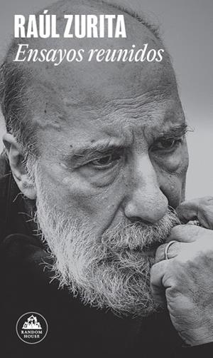 Ensayos reunidos | 9788439742623 | Zurita, Raúl | Librería Castillón - Comprar libros online Aragón, Barbastro