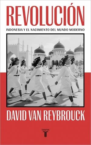 Revolución | 9788430624232 | Van Reybrouck, David | Librería Castillón - Comprar libros online Aragón, Barbastro