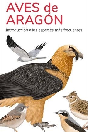 AVES DE ARAGÓN | 9788419624680 | Librería Castillón - Comprar libros online Aragón, Barbastro