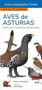 AVES DE ASTURIAS | 9788419624697 | VICTOR J HERNANDEZ | Librería Castillón - Comprar libros online Aragón, Barbastro