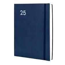 AGENDA 2025 MARA Y12 1 DÍA PÁGINA AZUL 621181025 | 8422952384038 | VICTOR J HERNANDEZ | Librería Castillón - Comprar libros online Aragón, Barbastro