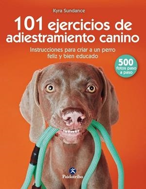 101 Ejercicios de adiestramiento canino | 9788499107332 | Sundance, Kyra | Librería Castillón - Comprar libros online Aragón, Barbastro